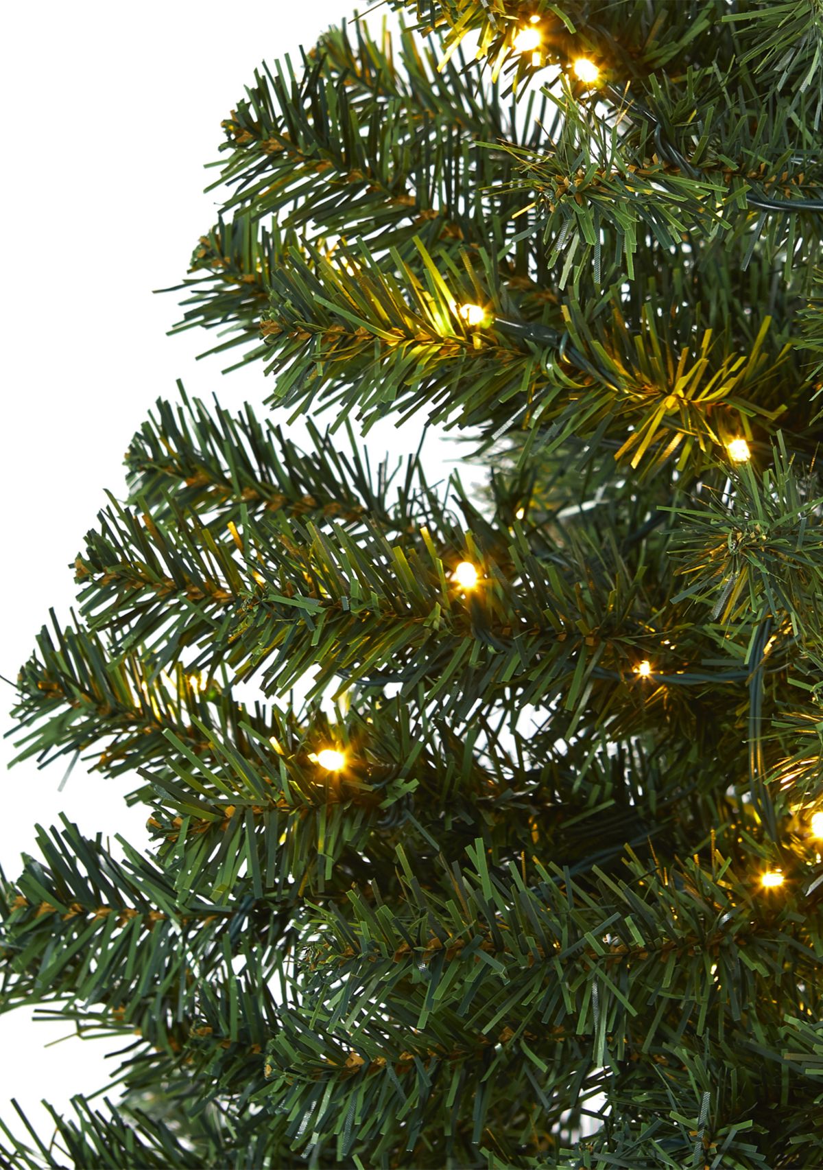 Northern Tip Pine Christmas Tree