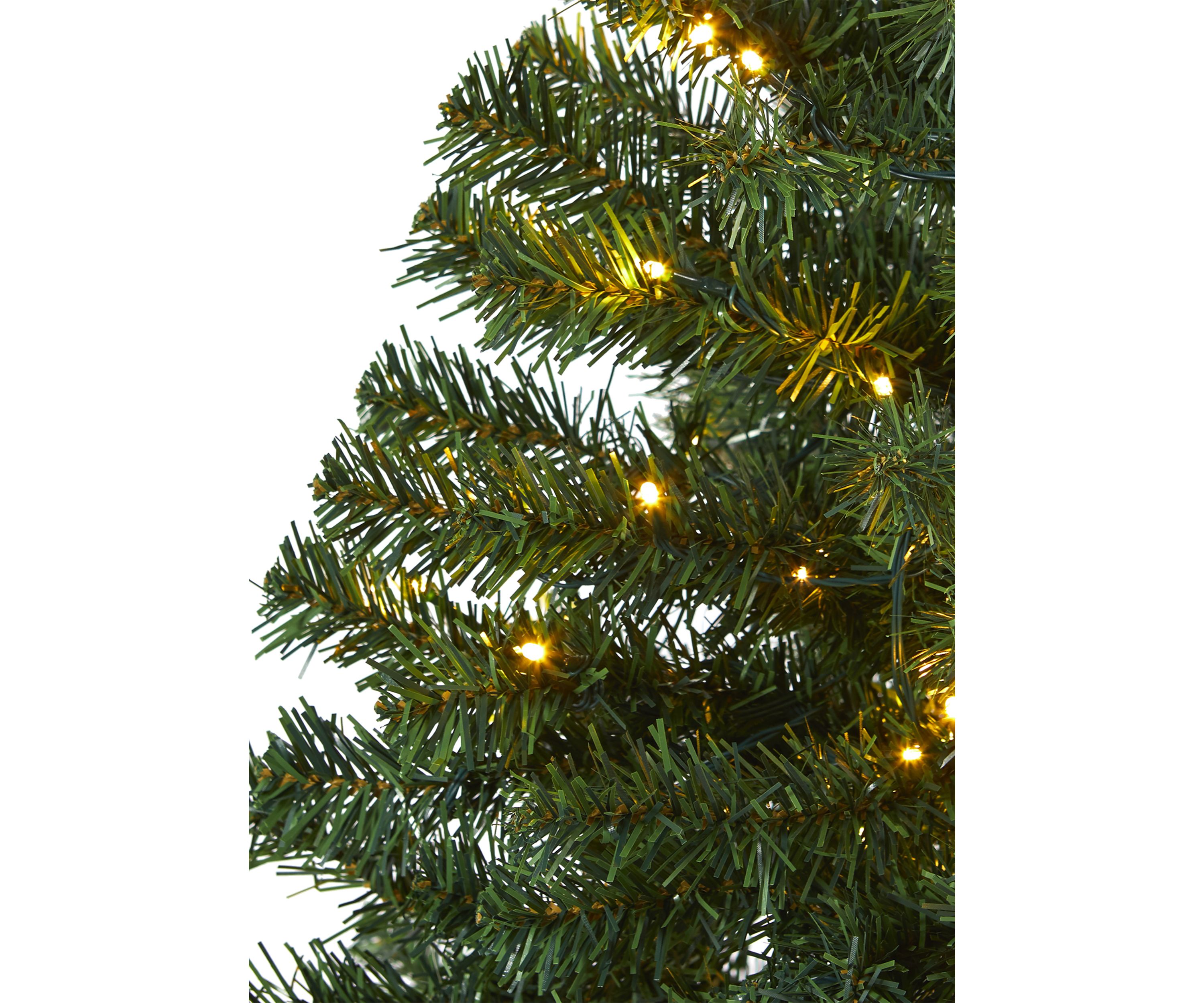 Northern Tip Pine Christmas Tree