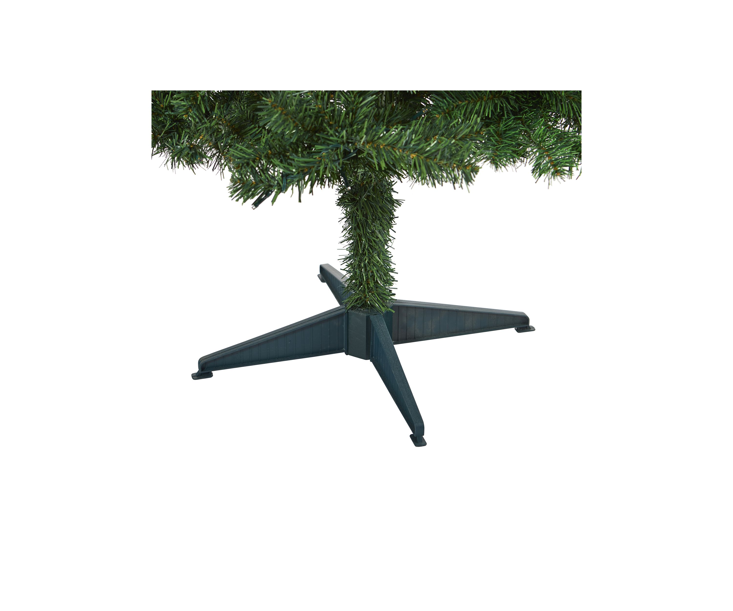 Northern Tip Pine Christmas Tree