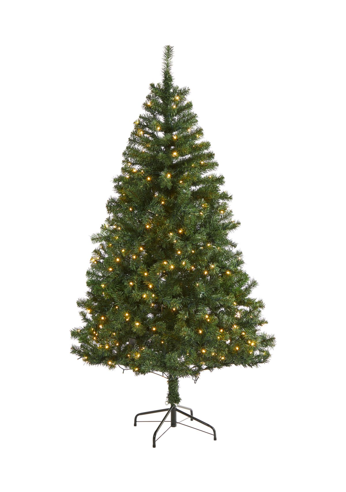 Northern Tip Pine Christmas Tree