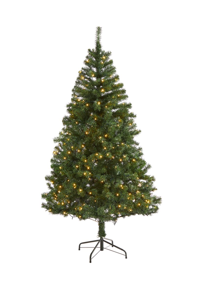 Northern Tip Pine Christmas Tree