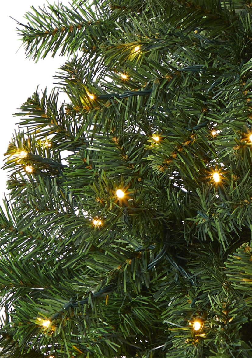 Northern Tip Pine Christmas Tree