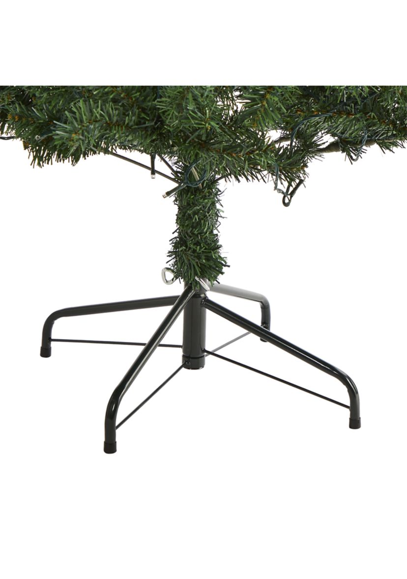 Northern Tip Pine Christmas Tree