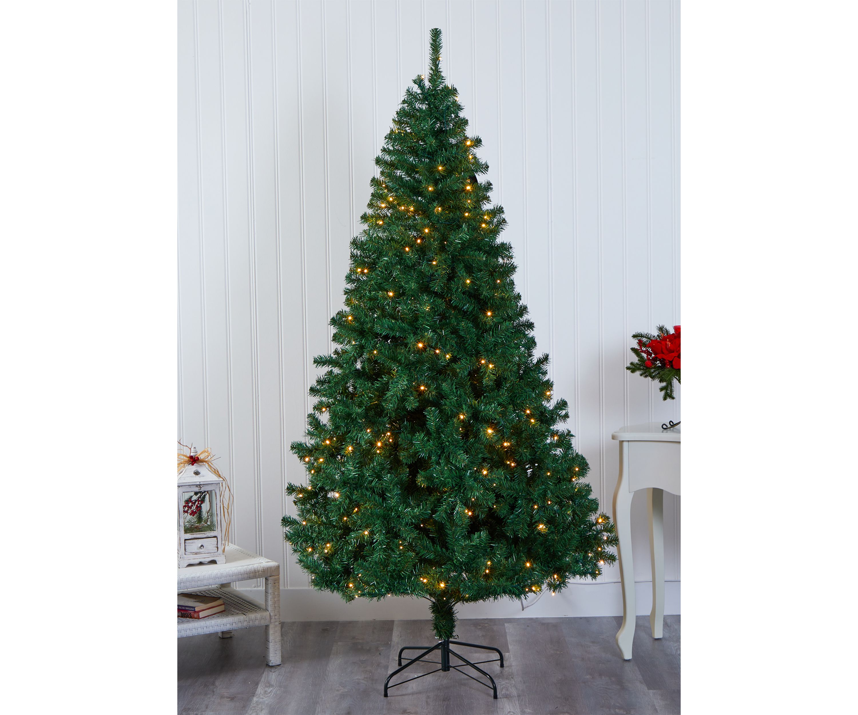 Northern Tip Pine Christmas Tree