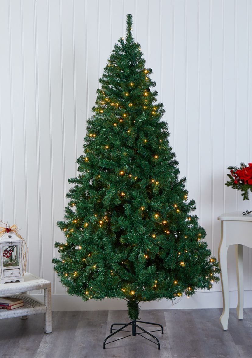 Northern Tip Pine Christmas Tree