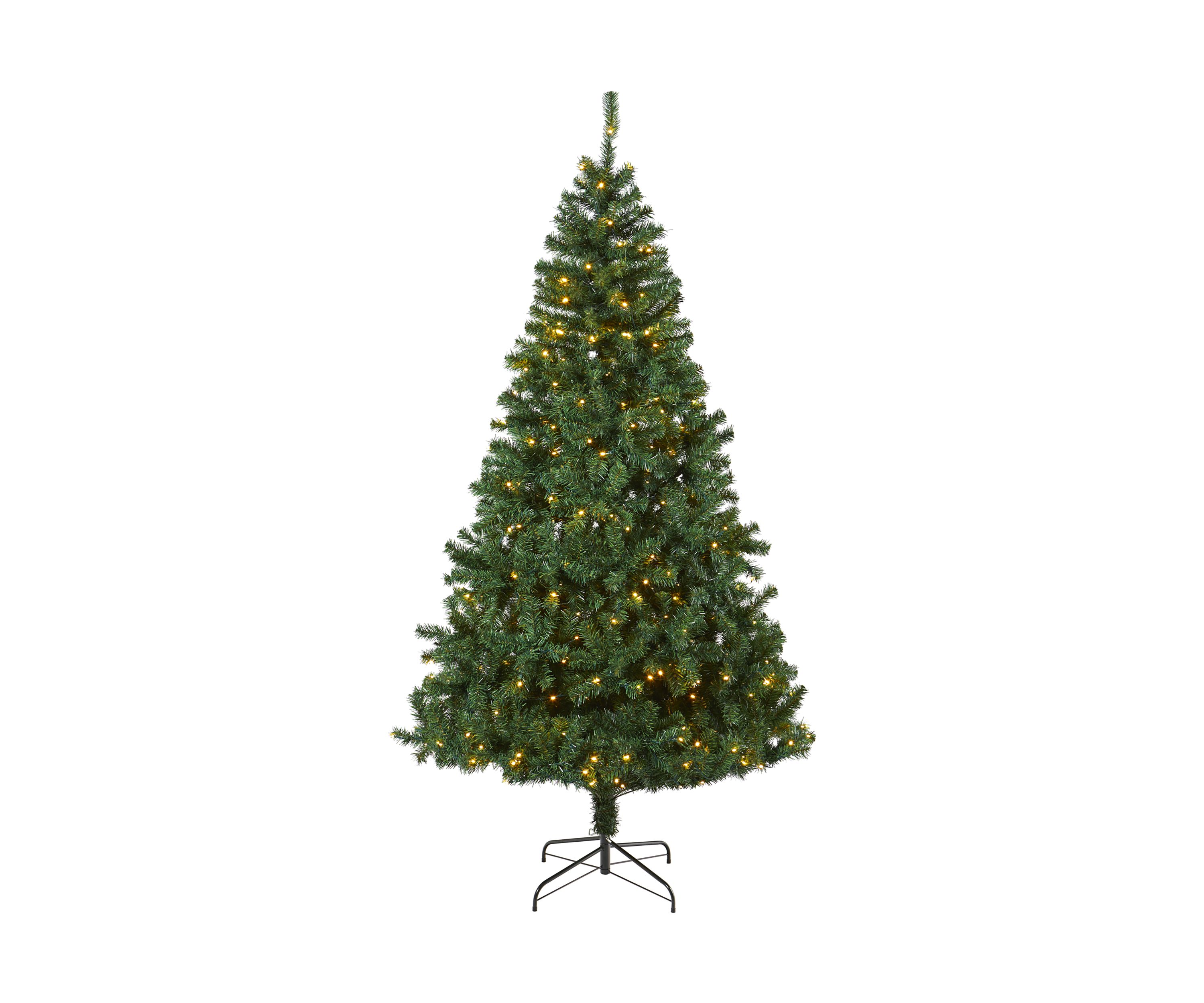 Northern Tip Pine Christmas Tree