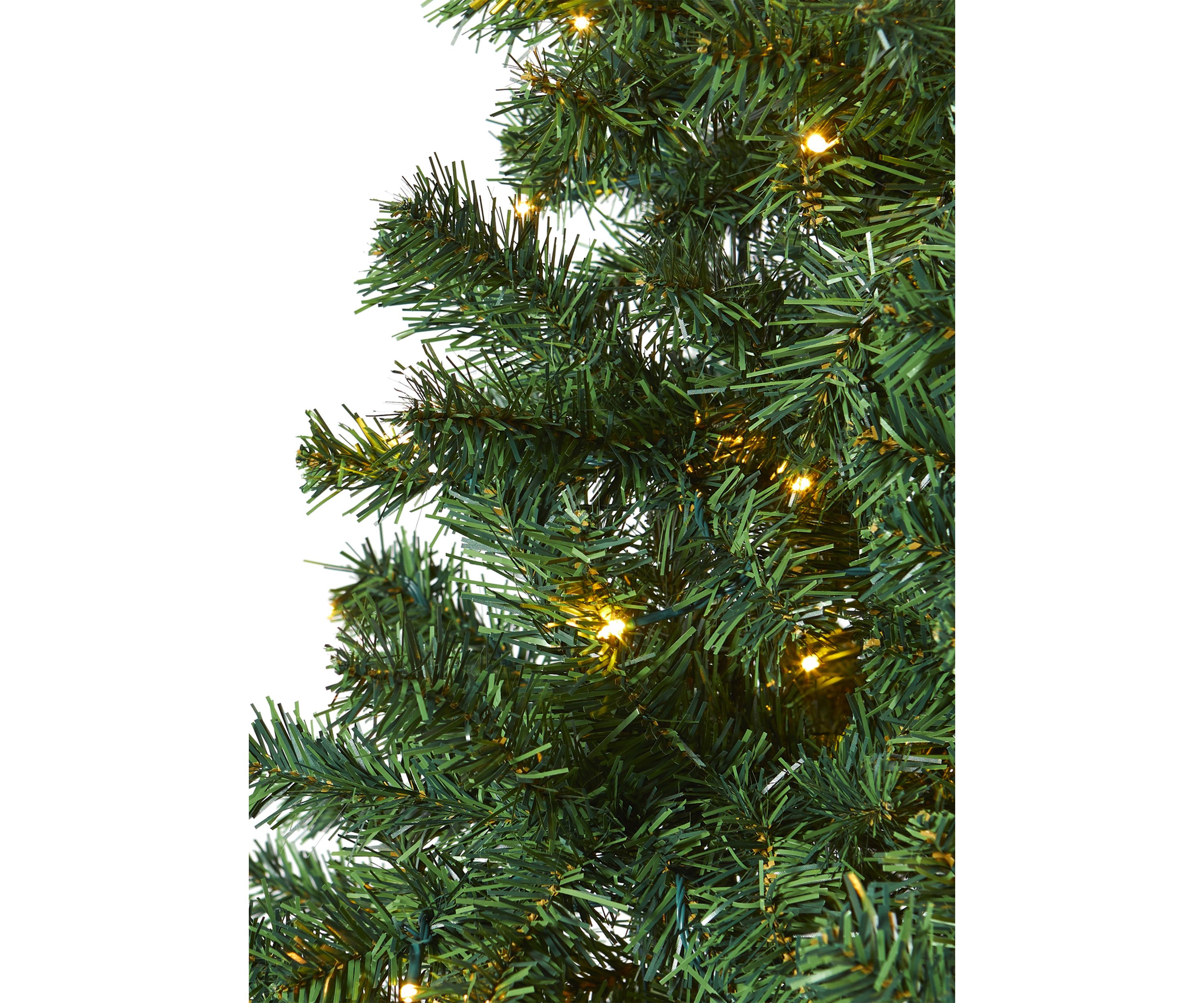 Northern Tip Pine Christmas Tree