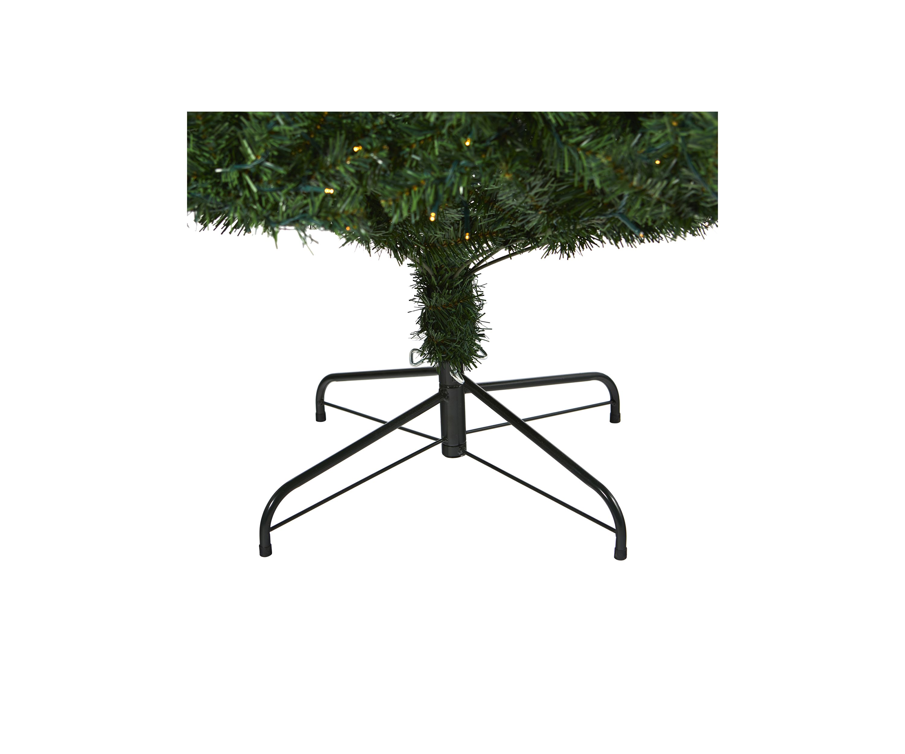 Northern Tip Pine Christmas Tree