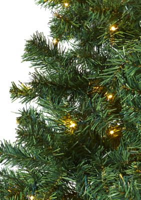 Northern Tip Pine Christmas Tree