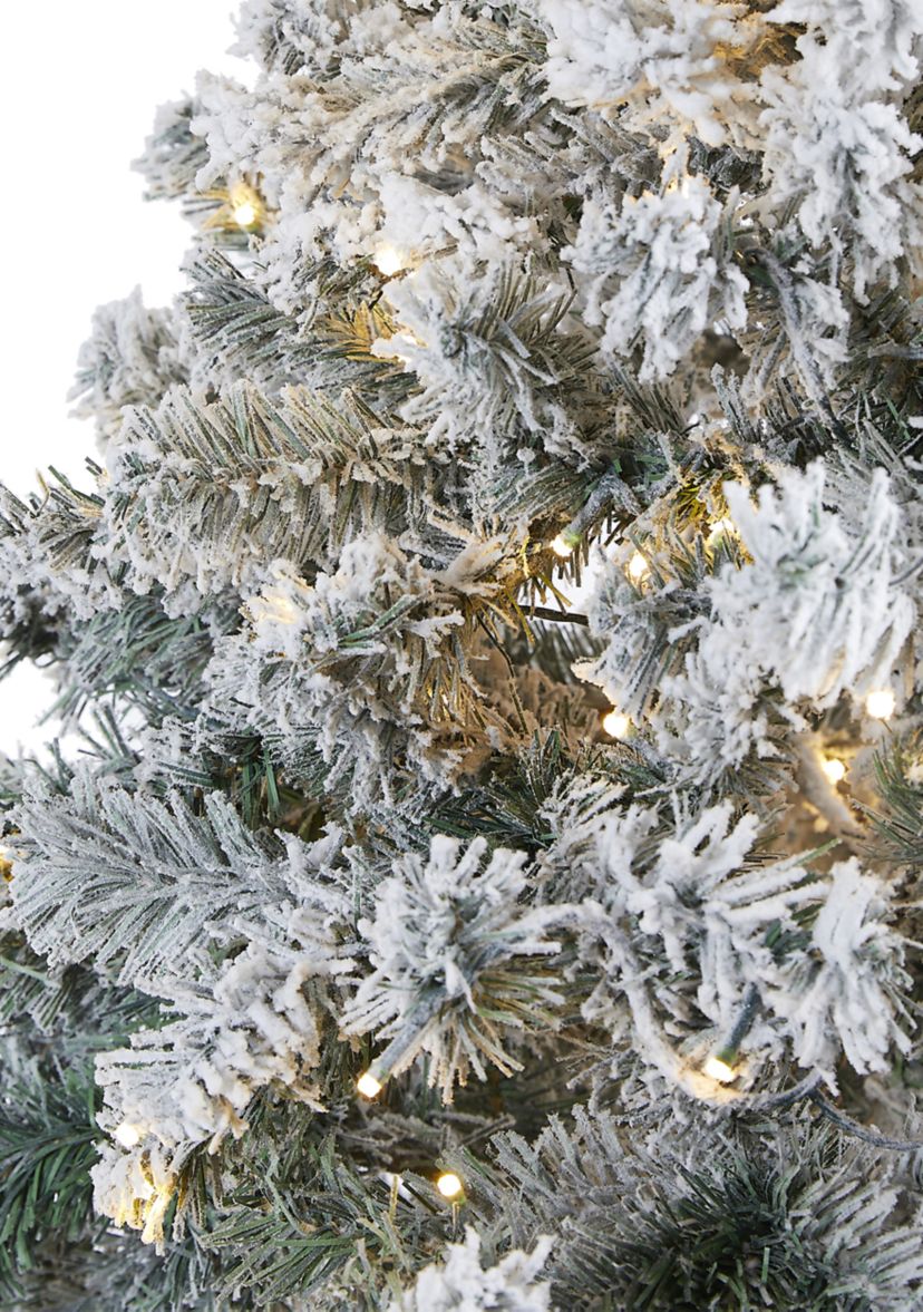 7 Foot Flocked Rock Springs Spruce Artificial Christmas Tree with 350 Clear LED Lights and 800 Bendable Branches