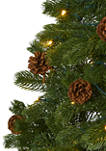 6 Foot Rocky Mountain Spruce Artificial Christmas Tree with Pinecones and 250 Clear LED Lights