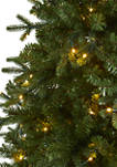 Vermont Fir Christmas Tree with Clear LED Lights