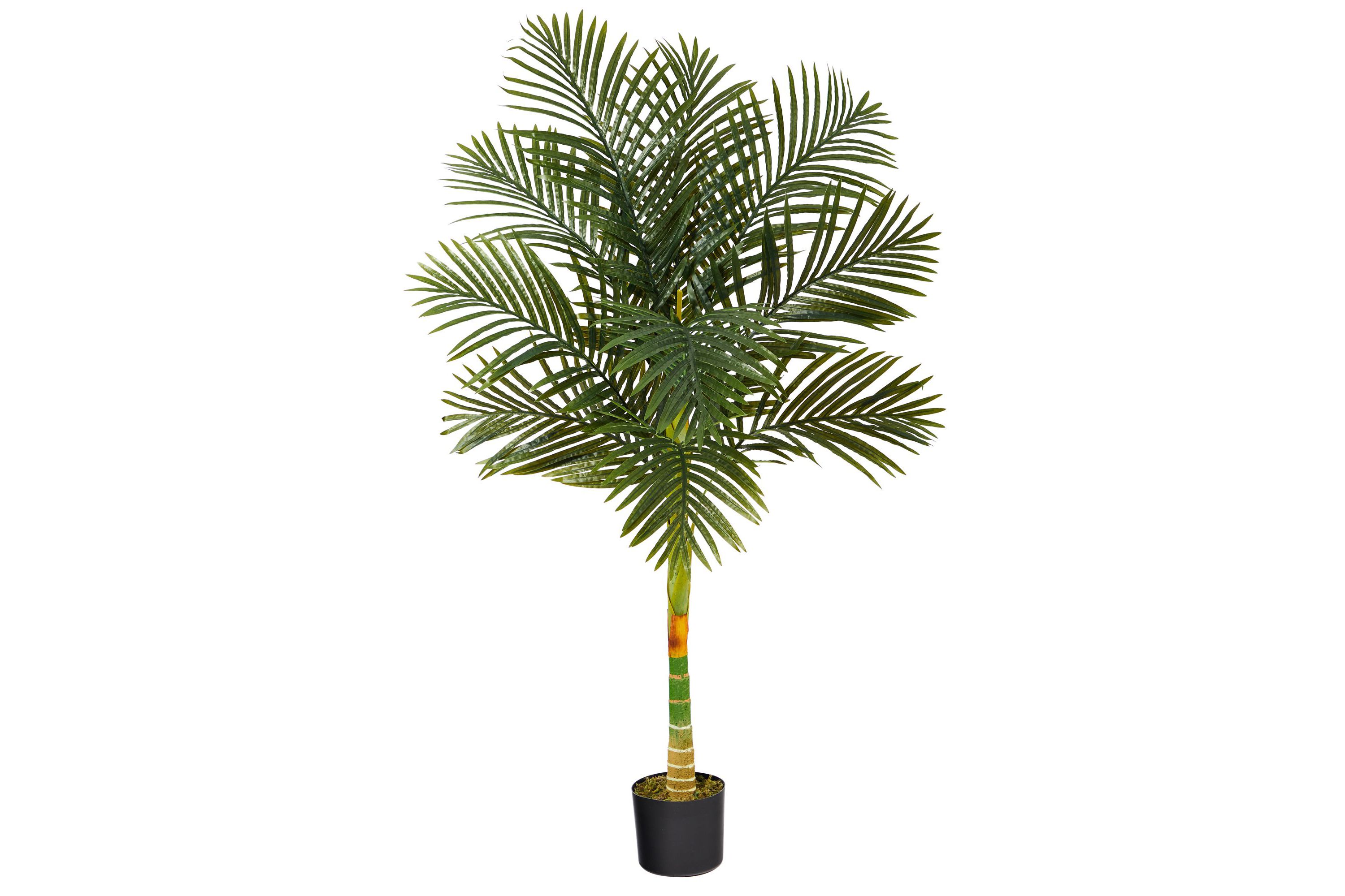 5-Foot Golden Cane Artificial Palm Tree