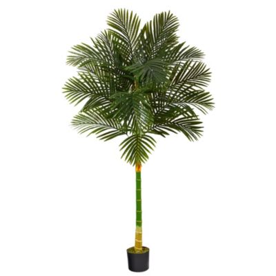 Nearly Natural 6-Foot Golden Cane Artificial Palm Tree, Green