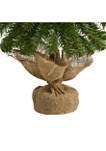 2 Foot Alpine Artificial Christmas Tree with 35 Lights, 92 Bendable Branches, and a Burlap Planter