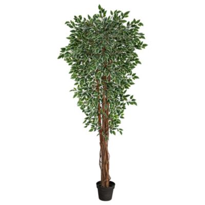 70-Inch Variegated Ficus Artificial Tree UV Resistant (Indoor/Outdoor)