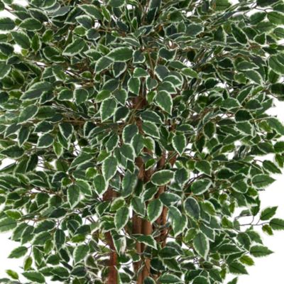 70-Inch Variegated Ficus Artificial Tree UV Resistant (Indoor/Outdoor)