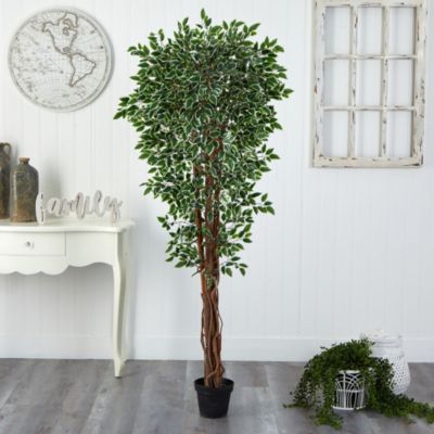 70-Inch Variegated Ficus Artificial Tree UV Resistant (Indoor/Outdoor)