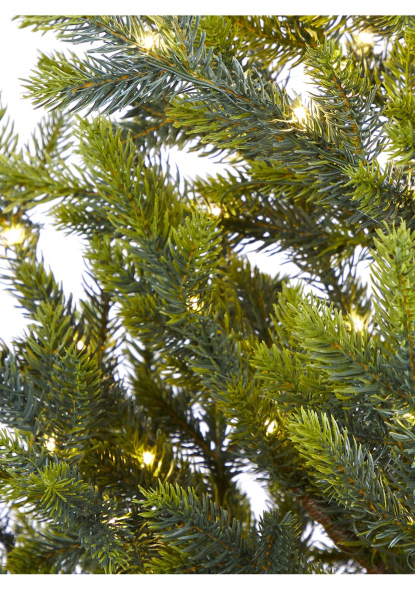 5 Foot Fraser Fir “Natural Look” Artificial Christmas Tree with 200 Clear LED Lights, a Burlap Base and 853 Bendable Branches