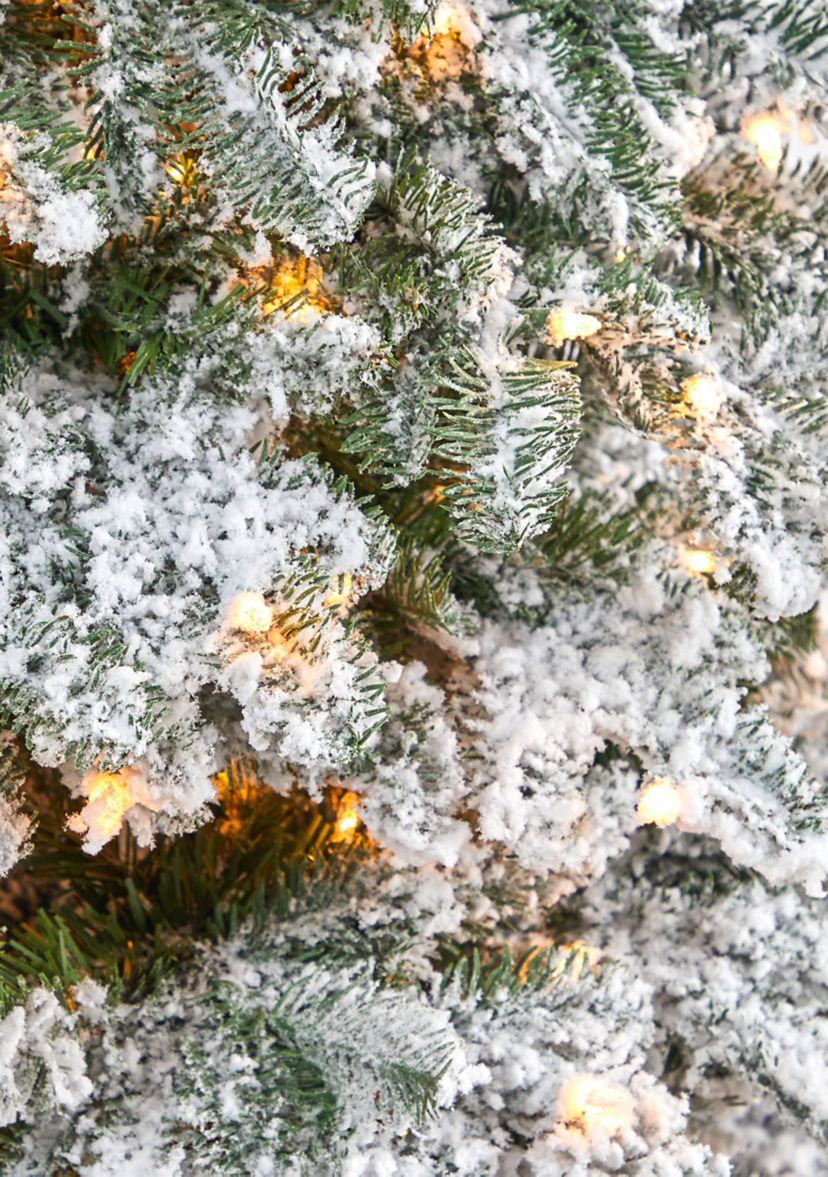 6 Foot Flocked North Carolina Fir Artificial Christmas Tree with 450 Warm White Lights and 1560 Bendable Branches