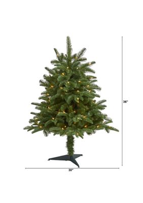 3-Foot South Carolina Spruce Artificial Christmas Tree with 100 White Warm Light and 458 Bendable Branches