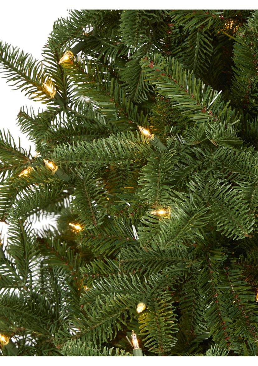 7 Foot South Carolina Spruce Artificial Christmas Tree with 500 White Warm Lights and 2644 Bendable Branches