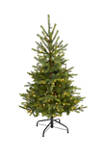4 Foot North Carolina Spruce Artificial Christmas Tree with 100 Clear Lights and 207 Bendable Branches