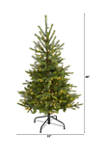 4 Foot North Carolina Spruce Artificial Christmas Tree with 100 Clear Lights and 207 Bendable Branches