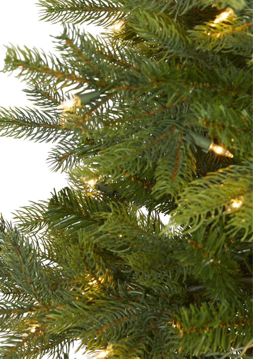 4 Foot North Carolina Spruce Artificial Christmas Tree with 100 Clear Lights and 207 Bendable Branches
