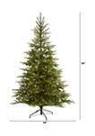 7 Foot North Carolina Spruce Artificial Christmas Tree with 450 Clear Lights and 931 Bendable Branches