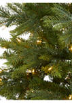7 Foot North Carolina Spruce Artificial Christmas Tree with 450 Clear Lights and 931 Bendable Branches