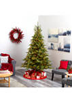 8 Foot North Carolina Spruce Artificial Christmas Tree with 650 Clear Lights and 1303 Bendable Branches