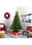 8 Foot North Carolina Spruce Artificial Christmas Tree with 650 Clear Lights and 1303 Bendable Branches