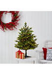 3 Foot North Carolina Fir Artificial Christmas Tree with 150 Clear Lights and 563 Bendable Branches