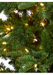 8 Foot South Carolina Fir Artificial Christmas Tree with 650 Clear Lights and 2598 Bendable Branches