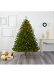 7 Foot Colorado Mountain Pine Artificial Christmas Tree with 450 Clear Lights, 1453 Bendable Branches, and Pine Cones