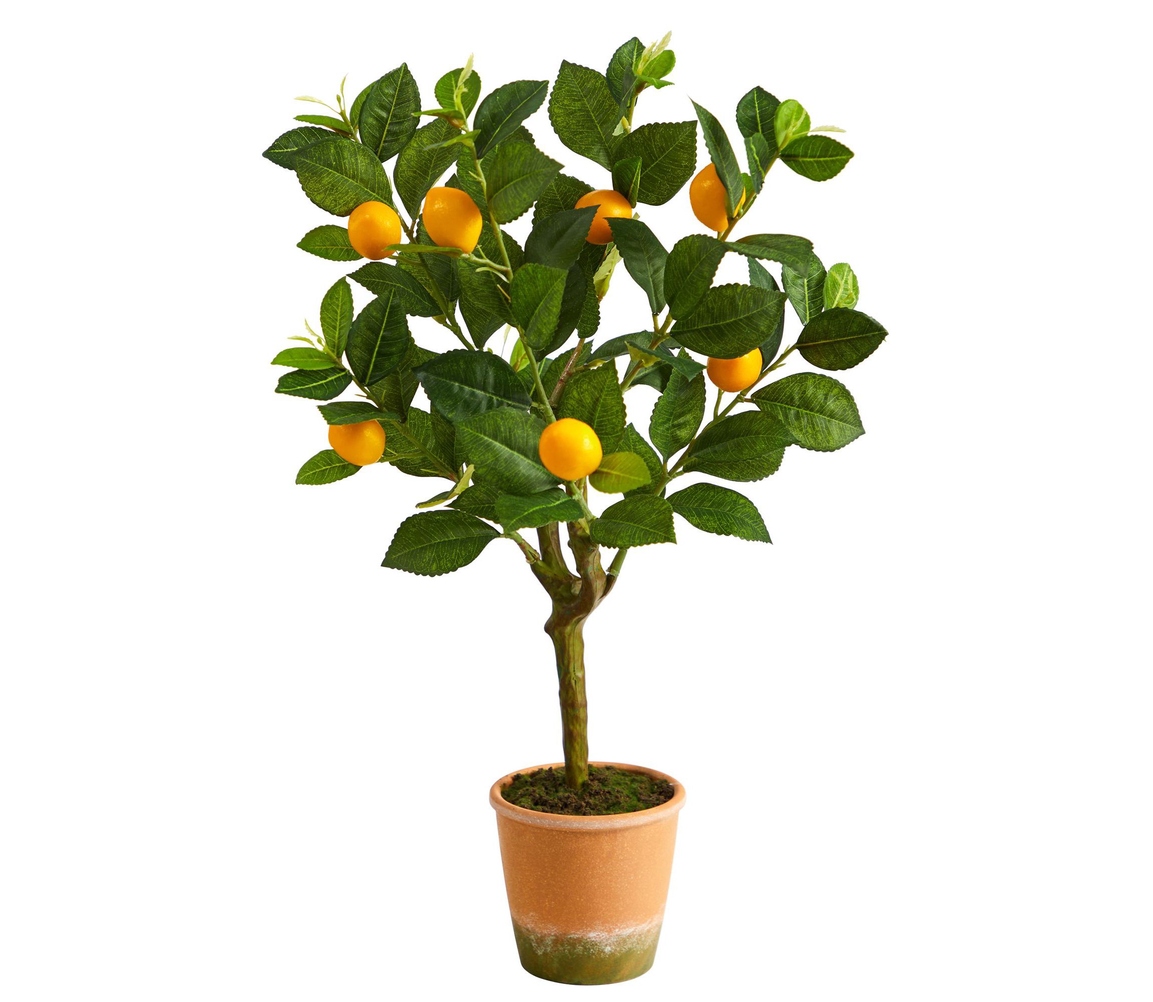 24-Inch Lemon Artificial Tree