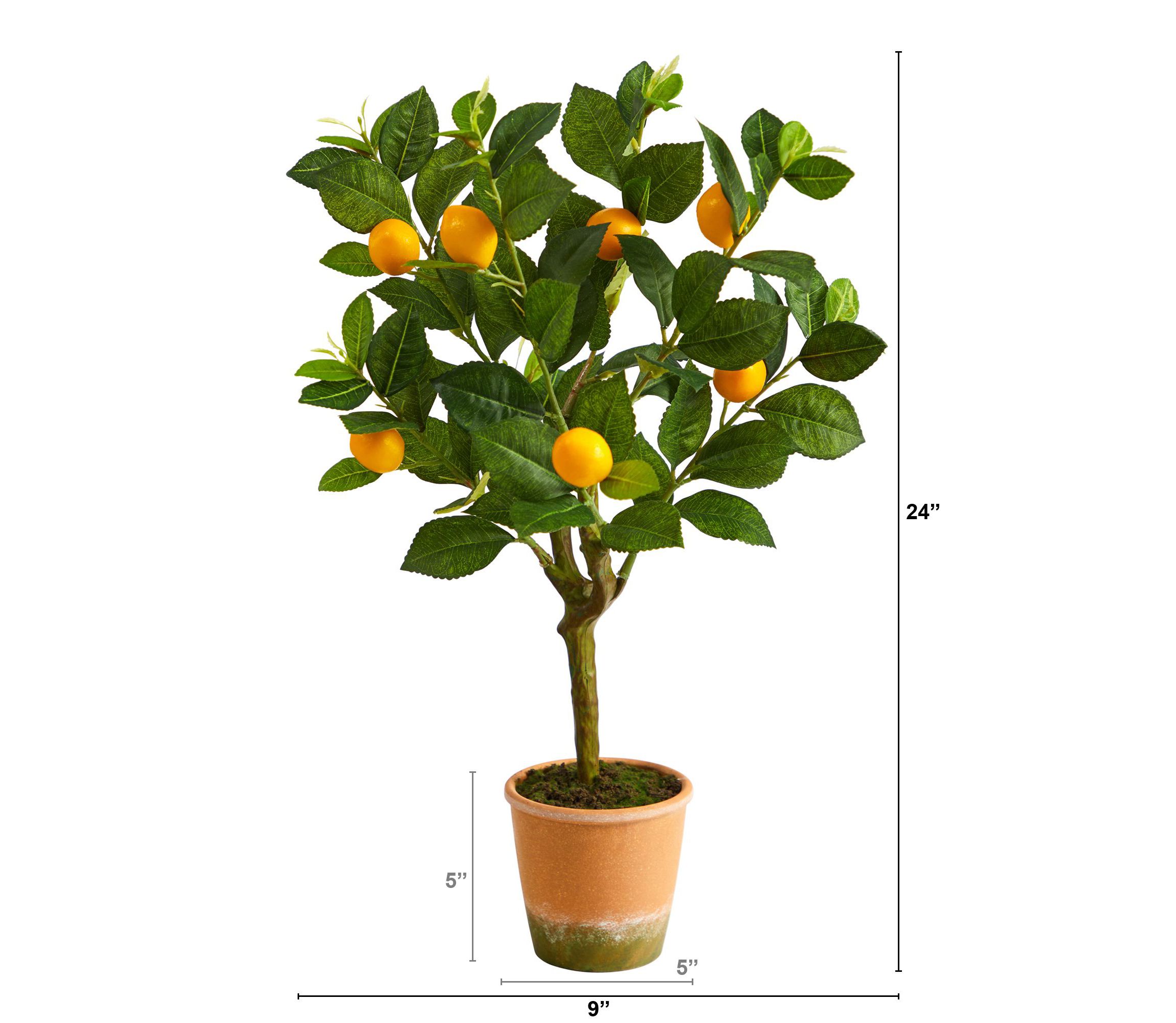 24-Inch Lemon Artificial Tree