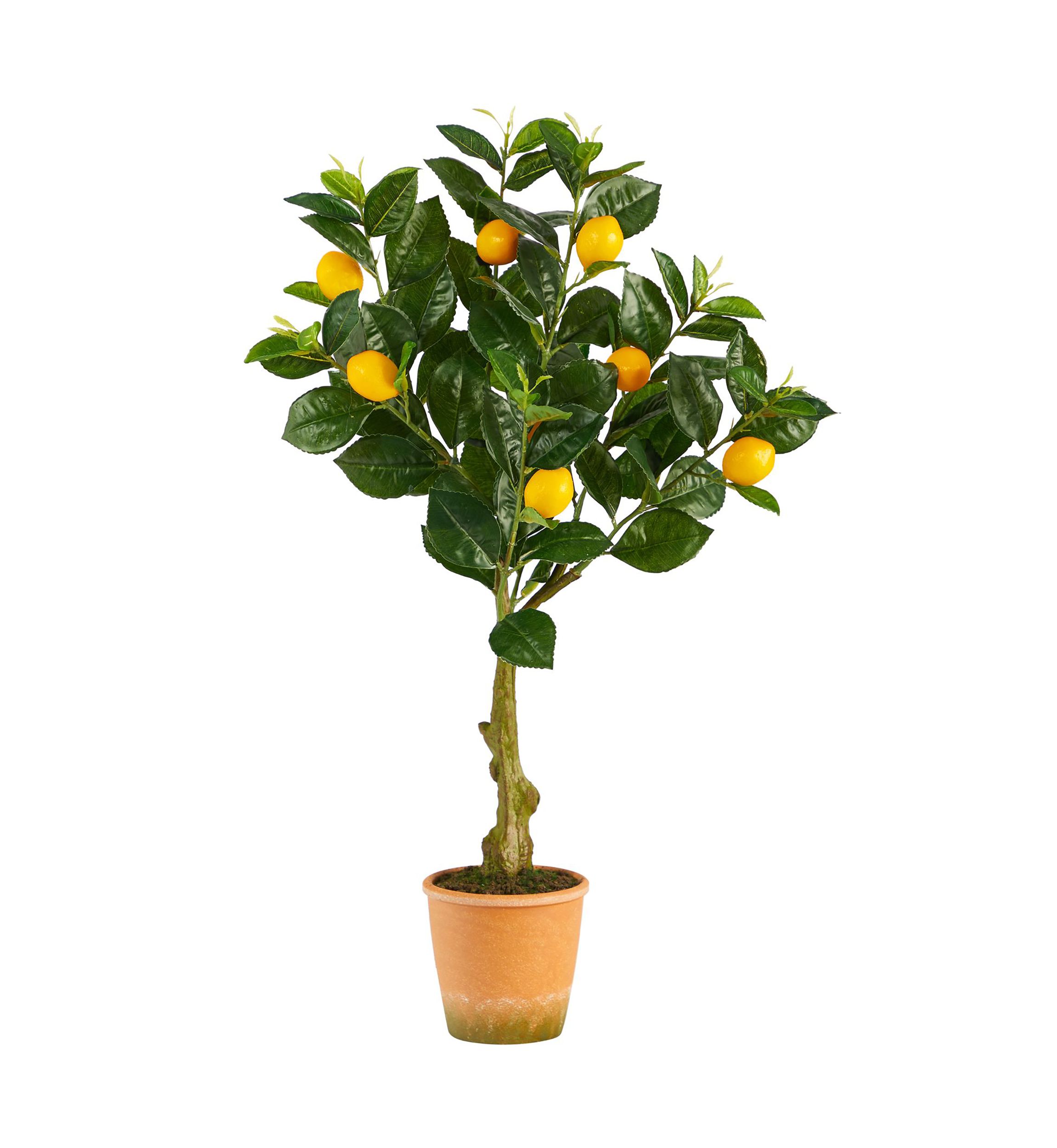 28-Inch Lemon Artificial Tree in Decorative Planter