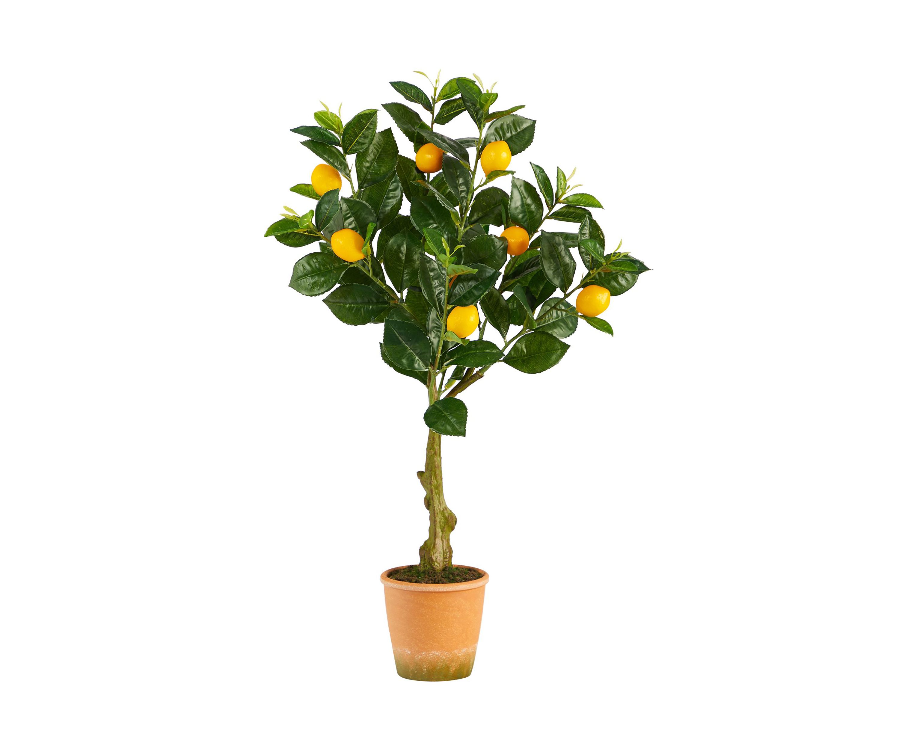 28-Inch Lemon Artificial Tree in Decorative Planter