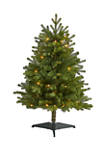 3 Foot Washington Fir Artificial Christmas Tree with 50 Clear Lights