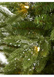 3 Foot Snowed Grand Teton Fir Artificial Christmas Tree with 50 Clear Lights and 111 Bendable Branches
