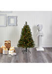 4 Foot Golden Tip Washington Pine Artificial Christmas Tree with 100 Clear Lights, Pine Cones and 336 Bendable Branches