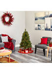 4 Foot Golden Tip Washington Pine Artificial Christmas Tree with 100 Clear Lights, Pine Cones and 336 Bendable Branches