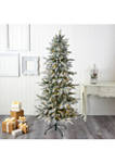 6.5 Foot Slim Flocked Nova Scotia Spruce Artificial Christmas Tree with 300 Warm White LED Lights and 699 Bendable Branches