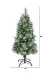 4 Foot Frosted Tip British Columbia Mountain Pine Artificial Christmas Tree with 100 Clear Lights, Pine Cones and 228 Bendable Branches