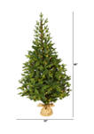 5 Foot Fraser Fir “Natural Look” Artificial Christmas Tree with 190 Clear LED Lights, a Burlap Base and 1217 Bendable Branches