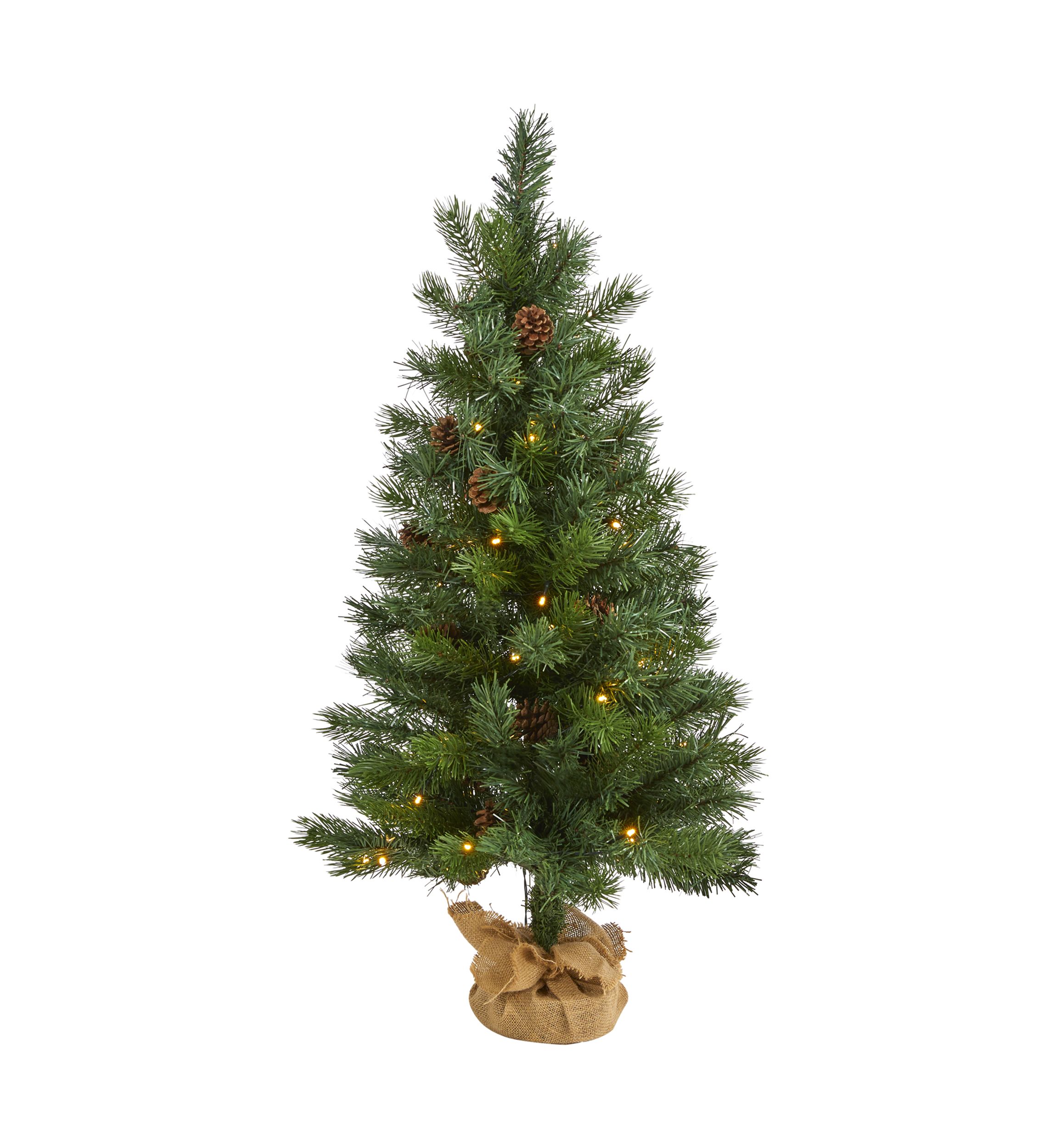 Fraser Fir Christmas Tree
