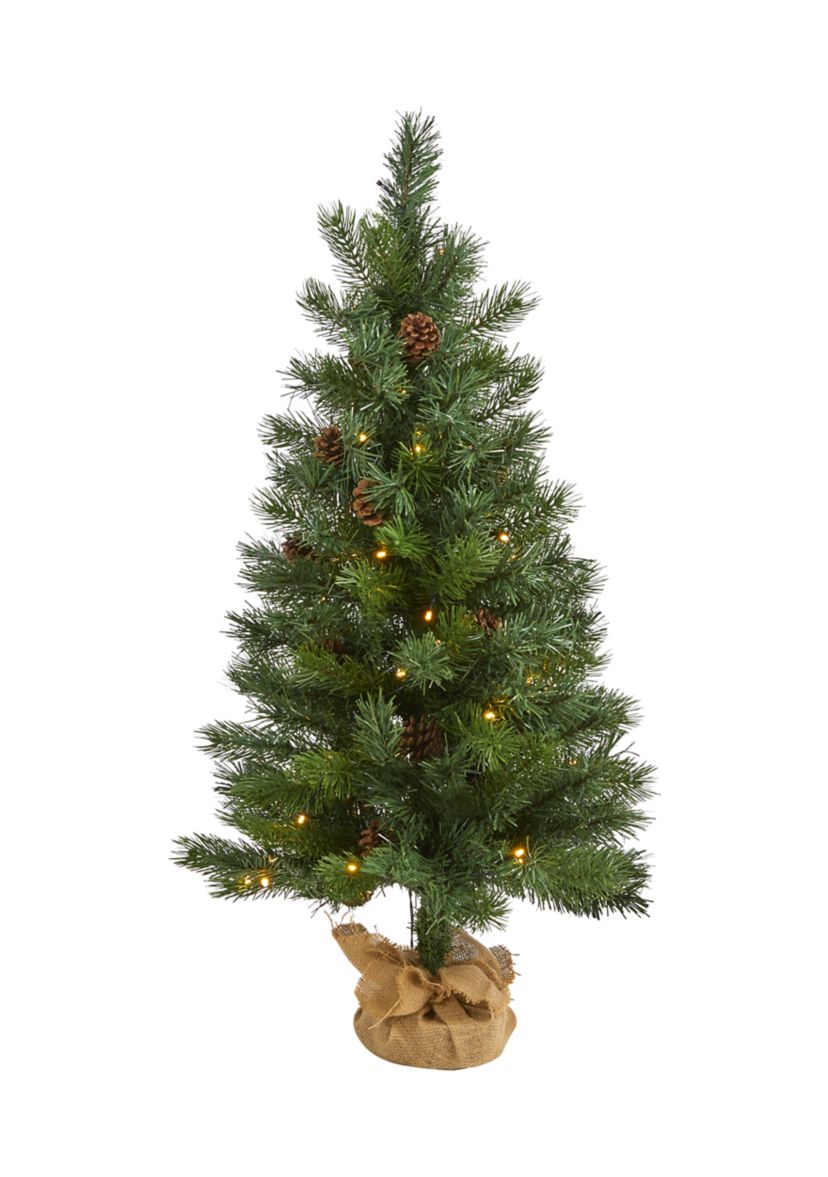 Fraser Fir Christmas Tree