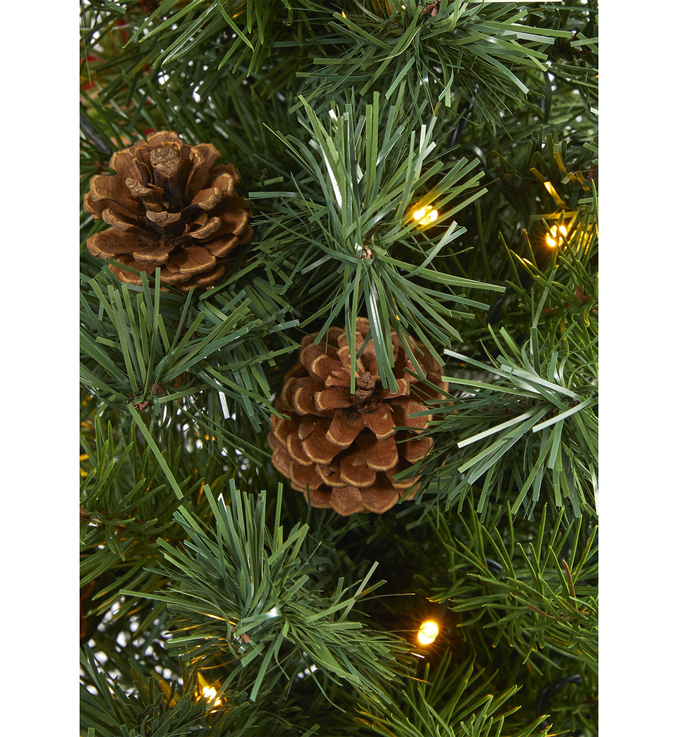 Fraser Fir Christmas Tree
